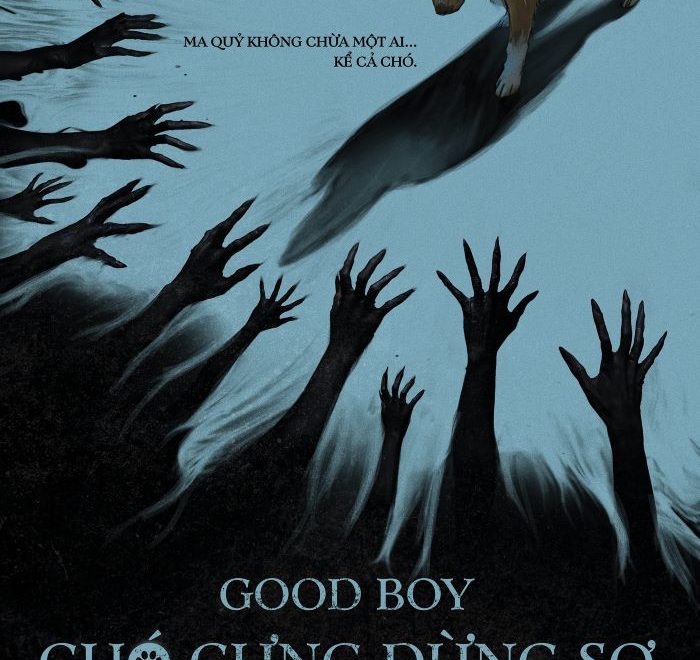 Chó Cưng Đừng Sợ